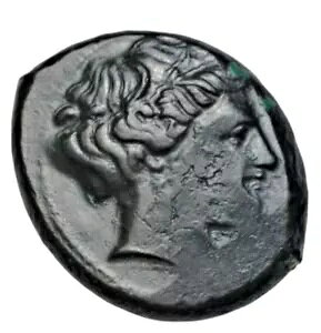 JjAA^|VAAE I{AcBIO 425 ` 350 NAfe/̕AR v[g