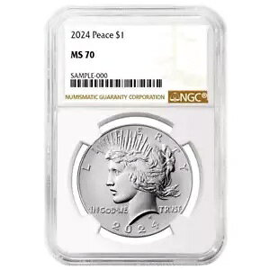 2024 $1 �s�[�X �V���o�[ �_���[ NGC MS70 �u���E�� ���x��