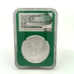 2021 P Eagle Heraldic Eagle T-1 FDI �t�B���f���t�B�A�łً̋}���Y����~