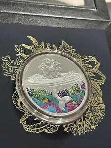 2021 jEG }[Ch 1 IX .999 Vo[ J[CYh v[t RC 1$ |[h