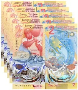 JuC 2h 2023 2024 40th P 61 |}[ LOT 5 UNC NR