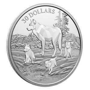 TIMBER WOLVES 多面カット 2024 カナダ 2オンス .9999 純銀 プルーフ $30 コイン