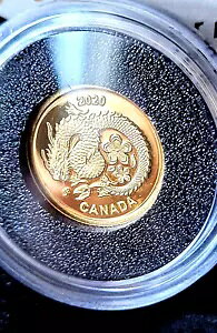 2020 Ji_h8h K^̉ԗ-ʃe[}I:5,888