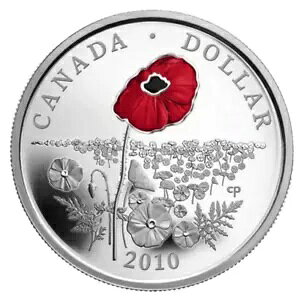 ???? �J�i�_ ���A 1 �h�� 1 �h�� �|�s�[ �G�i�������H �v���[�t �V���o�[ �R�C���A2010 �N