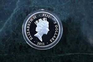 tBW[ 2011 5$ E̐_b ̃~[YAJIyA25g 