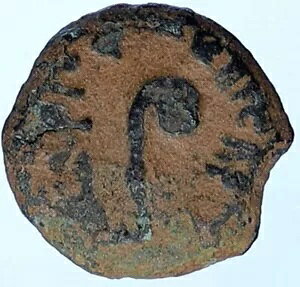 PONTIUS PILATE eBxEX GT CGX LXgٔ AeB[N [} RC i114313