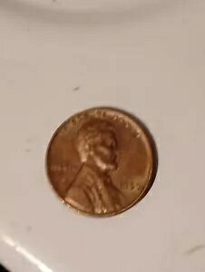 ɒ 1959 Nu[h XgCN J[LOكyj[B~g}[NȂ