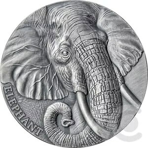 쐶̏ۂ̕\ 2 IX AeB[Ndグ Vo[ RC J[ 2023