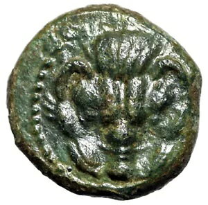 Bruttium�ARhegion AE12 Lion Facing & Apollo ��ɍ�