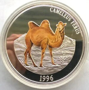 S 1996 N_ 5000 gDOO 5 IX݁Av[t