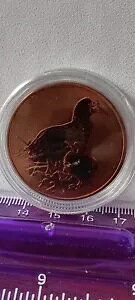 GUxX 2 ƃAJAVJcIhƂЂ悱 2019 p 2 |h `^ RC