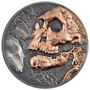 �q�g�� �����̐i�� (7th) ��� 2021 - �����S�� - 1�I���X �A���e�B�[�N�d�グ-