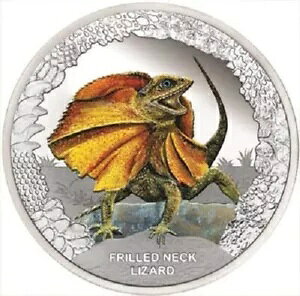 �V���o�[�R�C����փg�J�Q (1st) 2013 ঒��� - �c�o�� - �P�[�X���� - 1 �I���X PP-