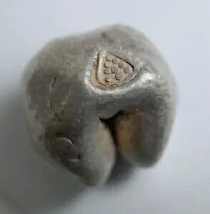 魅力的なアユタヤ ポッド ドゥアン コイン - 9 ドットとチャクラ マーク、1351-1767 タイ