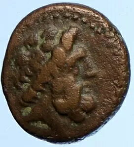 tFjLÃAhX {̌ÑIO 206 NMV RC [EXƃK[t i110095