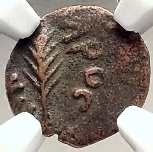NERO GT [} RC PORCIUS FESTUS Zg |[ wh 1351 NGC i69605