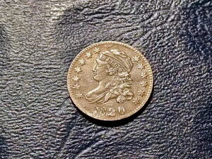 Choice XF 1820 L �T�C�Y �L���b�v�h �o�X�g �_�C��