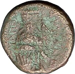 �C�I�j�A�� SMYRNA 2-1stCenBC Caestus �Ñ�{�N�V���O �O���[�u �M���V�� �R�C�� ���A i46972