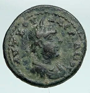 ���@�����A�� 1 ���L���L�A�̃A�i�U���u�X�̖{���̌Ñネ�[�}�̃R�C�� APOLLO i90834