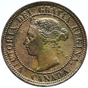 1891 Ji_ CMX p rNgA [X Be[W AeB[N Zg RC i99859