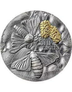 SILK MOTH Nature Architects 2 IX Vo[ RC 10 ZfBX K[i 2023