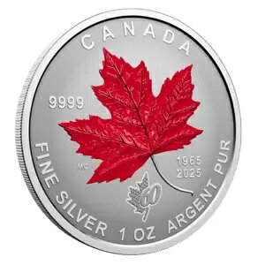 ???? Ji_ 5 h݁AGi[v[tALOA2025