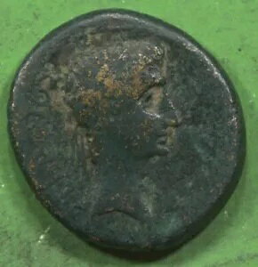 ���[�}�n�� ae19 �A�E�O�X�g�D�X �J�G�T�� �t���M�A �[�E�X ���I�f�B�P�I�X�̐���