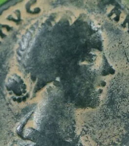 [}鍑 ae uY ZXeeBEX RC Lucilla PIETAS 