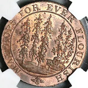 1794 NGC MS 63 �z�b�v �����o�[�n�[�X�g �P���g �R���_�[ 1/2 �y�j�[ DH 34 POP 1/1 (23060204C)
