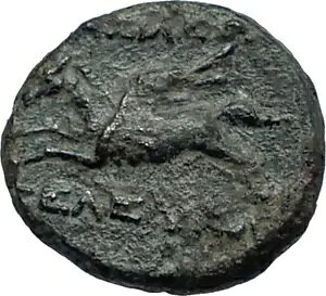 ZERX II JjRX 246BC A R1 ÑZERXMṼRC PEGASUS i68006