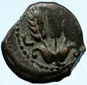 AGRIPPA I JUDAEA under Claudius 41AD �Ñ�A���e�B�[�N���[�} PRUTAH �R�C�� i95539