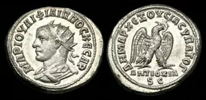 IM-TFPD - �t�B���b�v 2 �� - �V���E�t�F�j�L�A�l�A�A���e�B�I�L�A�B - �����������A���͂ȃo�X�g��