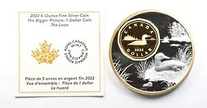 2022 Ji_ 5 IX Vo[ 1 h RC gʐ^: The Loon W/CoA *4725