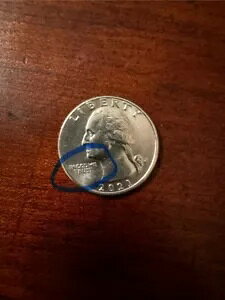 2021 P Vg fEFA NH[^[f