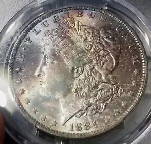 MS65 1884-O $1 ���[�K�� �V���o�[ �_���[ PCGS MONSTER ���C���{�[ �g�[�� 35 ���N�L�O