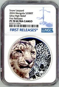 �X�m�[ ���I�p�[�h ���C���h �����S�� 3 �I���X �V���o�[ �R�C�� 2000T �����S�� 2024 NGC 70 FR