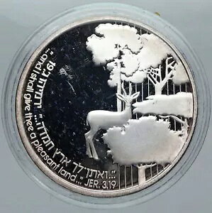 1989 CXG 񑩂̒n lC`[ v[t {}̐C Vo[ 2 VFP RC i88471