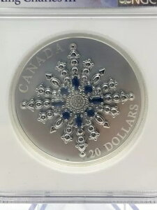 2024 $20 Ji_ 1IX Vo[ v[t NGC PF70 Tt@CA Wr[ Xm[t[N u[` ????