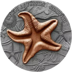 �X�^�[�t�B�b�V���uWorld Of Fossils�v2�I���X��� - �j�E�G2019 (���蒒��500��)