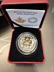 2019 15$ t@C Vo[ RC S[f [v [tAA & j[NȃRC 3 IX Vo[!