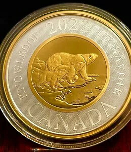 2IXVo[ RC ? j[AꂽVo[ gD[j[: m̓ ? : 2,500 (2022)