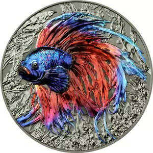 2024 jEG\: Betta Fish 2 IX Vo[ nC[t