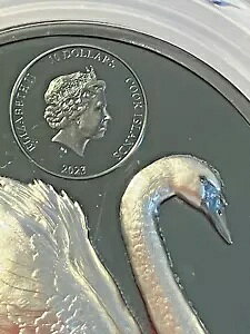2023 �u���b�N �X���� 2�I���X HR �u���b�N �I�u�V�f�B�A�� PR �V���o�[ �R�C��-PCGS PR70DCAM-MINTAGE 2,500