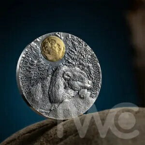 Brown Bear Wildlife in the Moonlight 2 IX AeB[Ndグ Vo[ RC jEG 2023