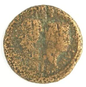 [} AE f|fBEX EXƃAEOXgDX JGT ÑKA c[ wbh IO 36 ÑRC