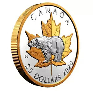 ???? A Ji_ Vo[ 25 h RCAVN}As[htHg - ^CXA2020