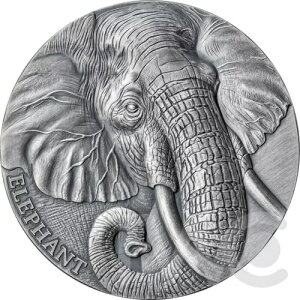 쐶̏ۂ̕\ 2 IX AeB[Ndグ Vo[ RC J[ 2023