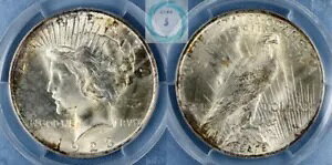 1923 ピースダラー PCGS MS65+ - 目に魅力的で魅力的な無愛想なエッジ!!!!