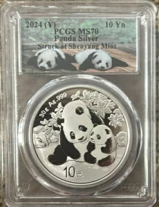 2024 (y) 10 Yn パンダ銀が瀋陽造幣局で襲撃される