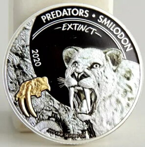 2020 �R���S��� �X�~���h�� ��j����̓��� �����b�L �r�b�O�L���b�g �v���f�^�[�Y